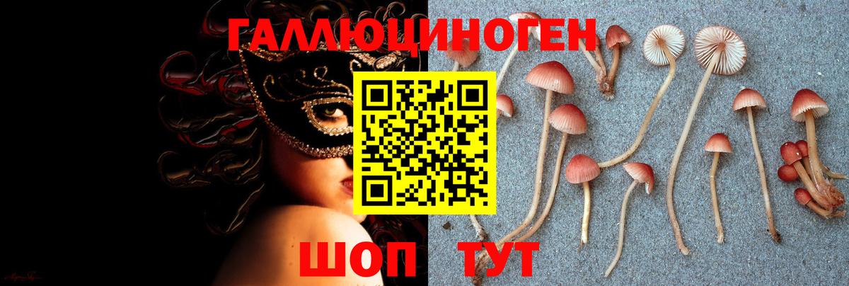 Псилоцибиновые грибы мухоморы Лесосибирск